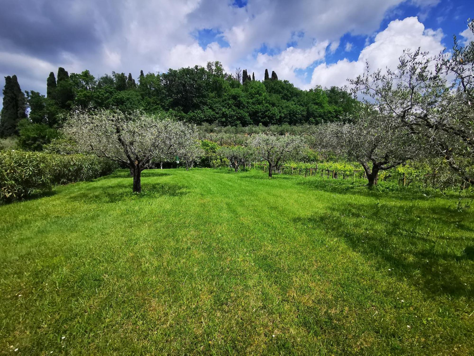 Casa Ghirlanda Con Piscina E Campo Da Tennis Lazise Ngoại thất bức ảnh
